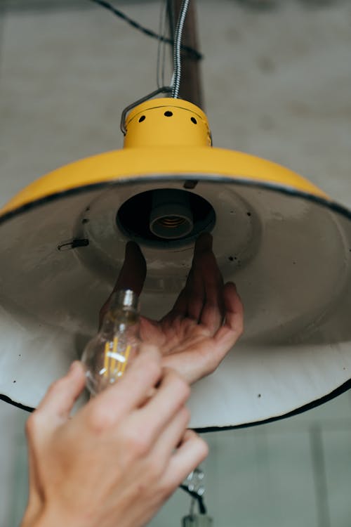 Person Holding Yellow and Black Round Device