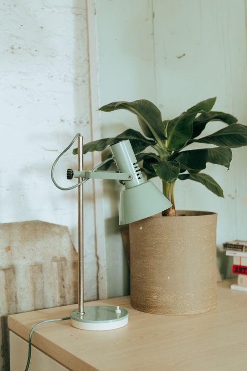 Free A stylish retro interior featuring a vintage mint lamp and potted plant on a table. Stock Photo