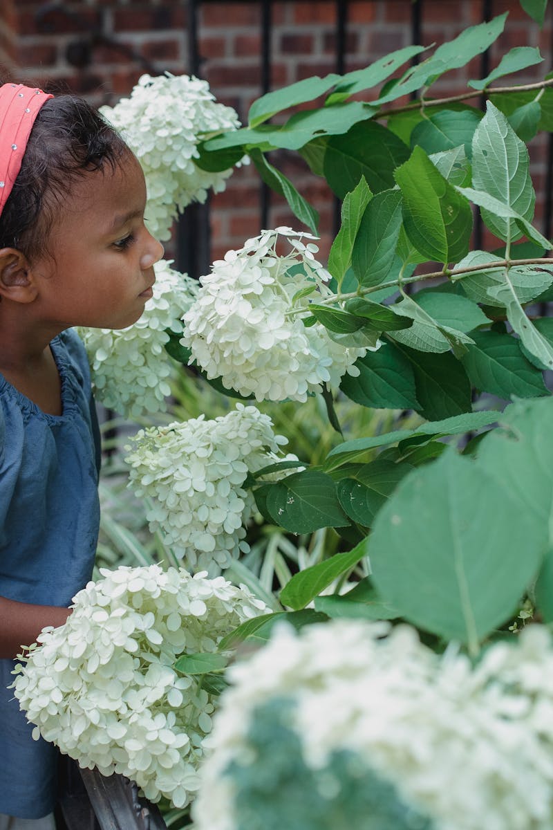 20 Little Ways to Stop and Smell the Roses