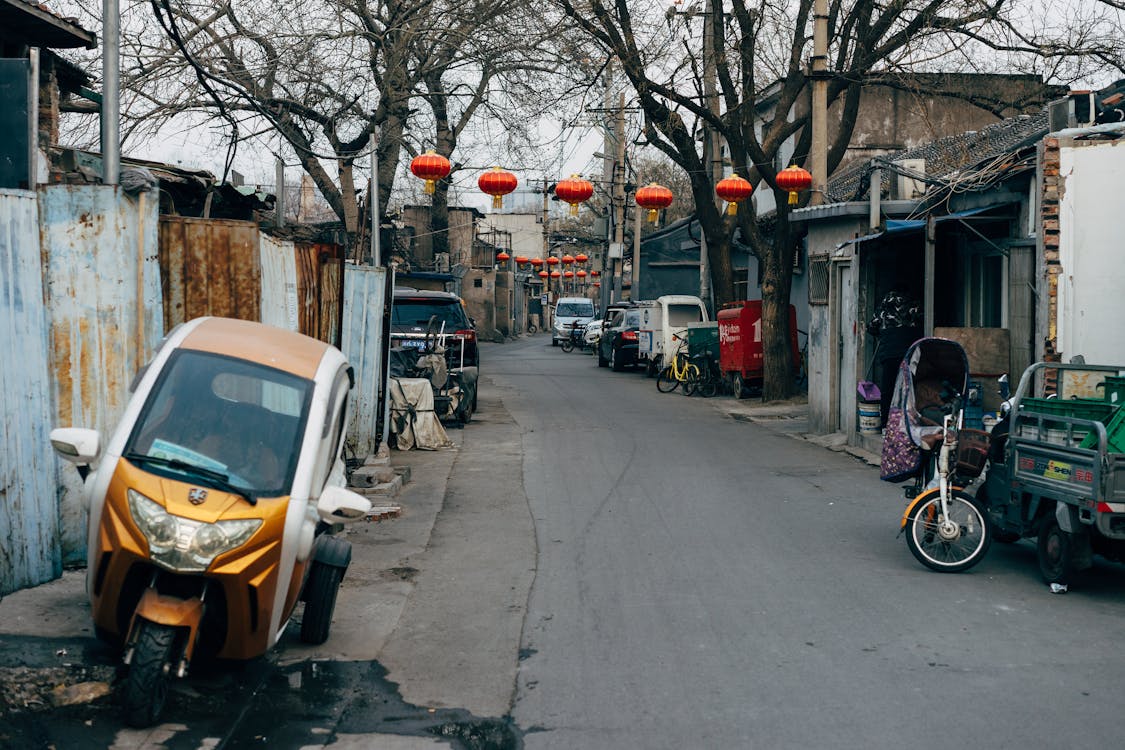 Cars Parked on Sidewalk Near Bare Trees