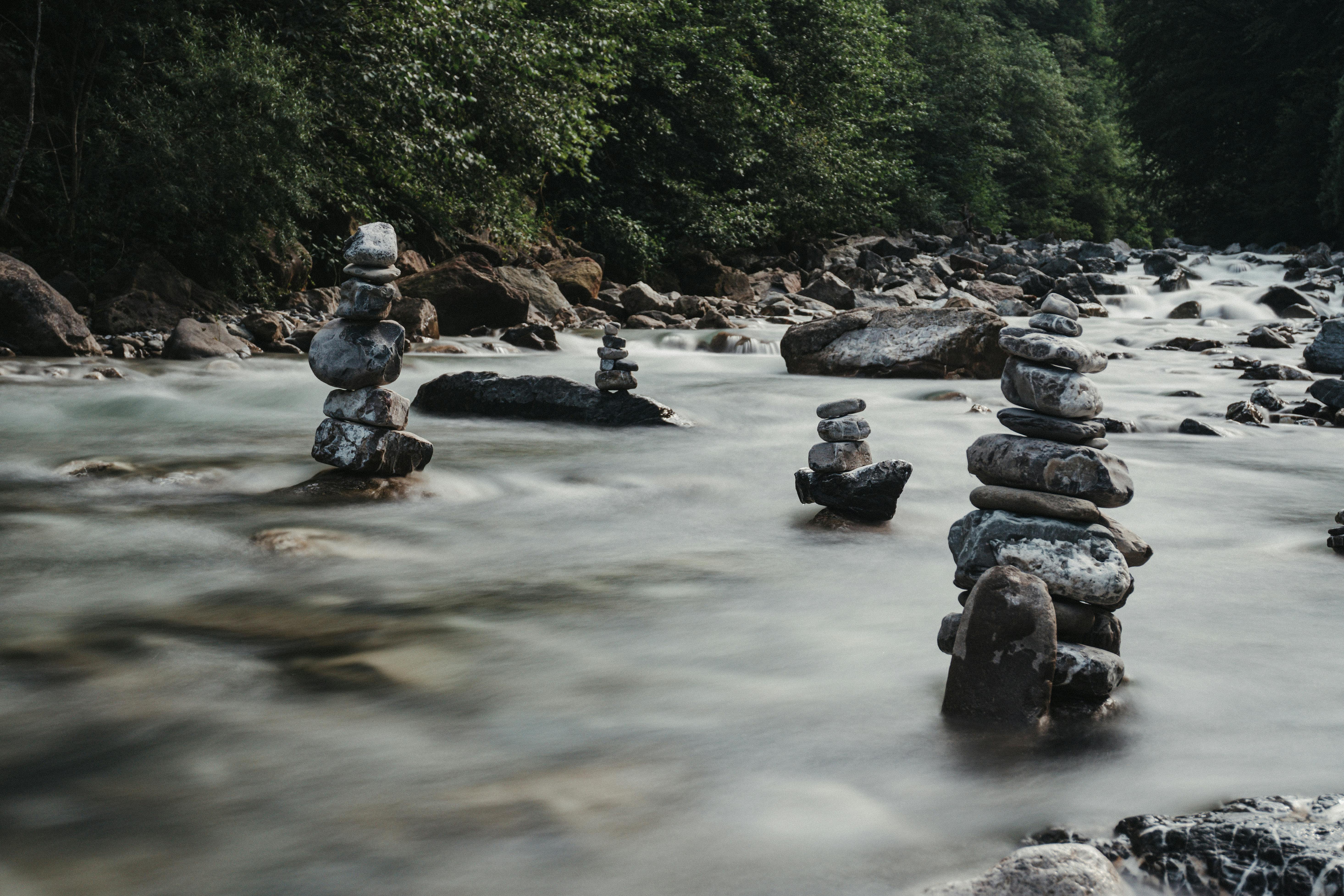 Rocky river streaming through lush forest · Free Stock Photo