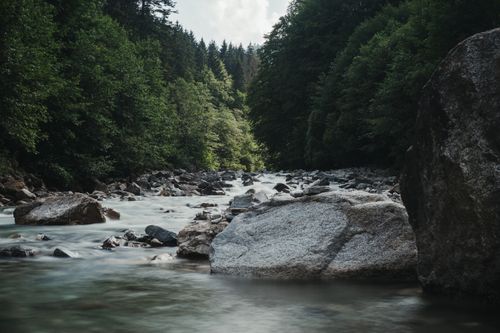 Free Breathtaking landscape of rocky river flowing among lush green trees in forest against cloudy sky Stock Photo