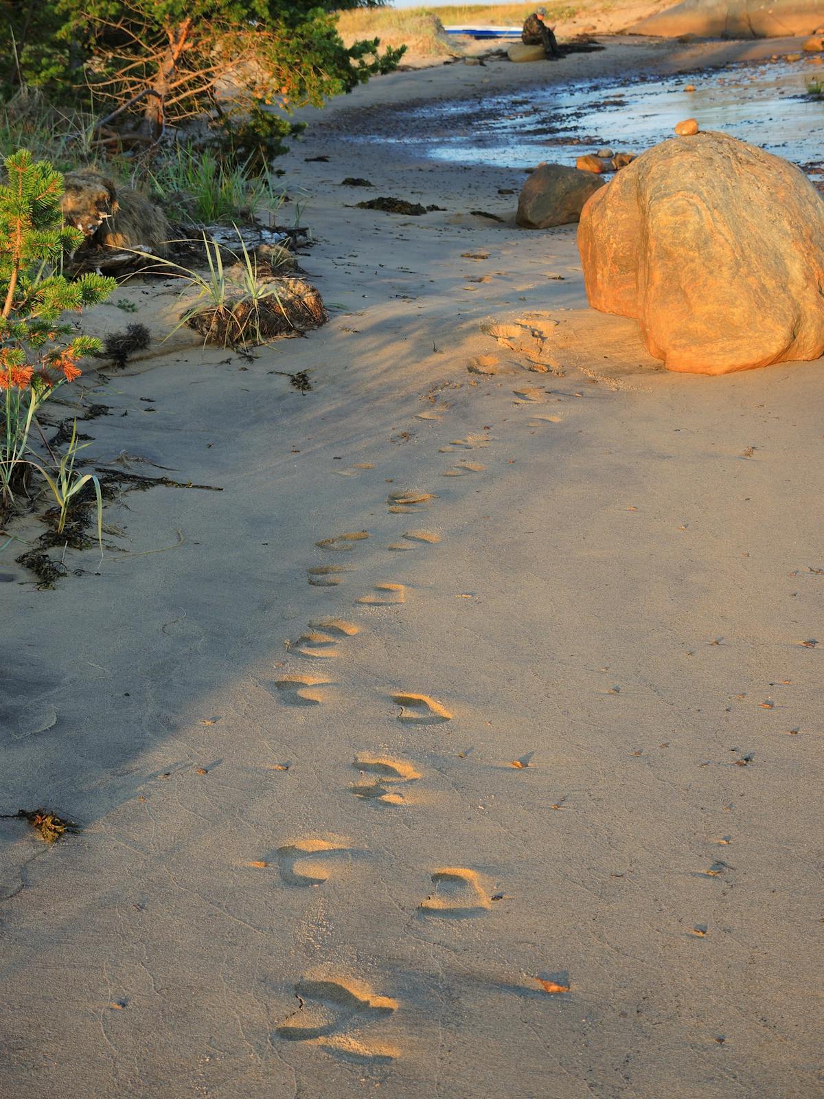 Close-up of a stage performer’s legs wearing athletic shorts and socks under concert lights