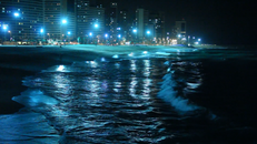 夜晚，城市璀璨的灯光倒映在海面上，映衬出海边都市的生活景象