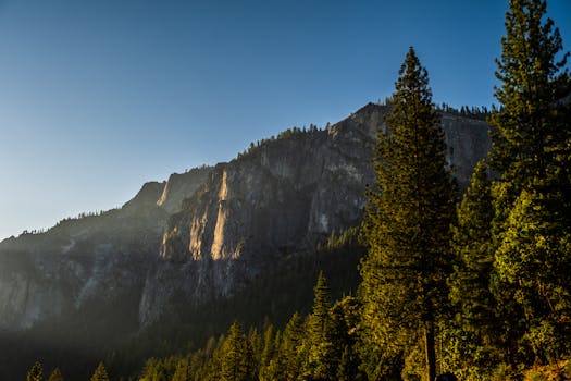 Stunning view of Yosemite Valley's cliffs and trees at sunrise, showcasing nature's beauty.