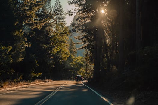 A car journeys through the picturesque forest of Yosemite Valley, California.