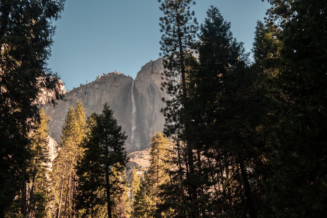 Panoramic view of Belgrade with Kalemegdan Fortress