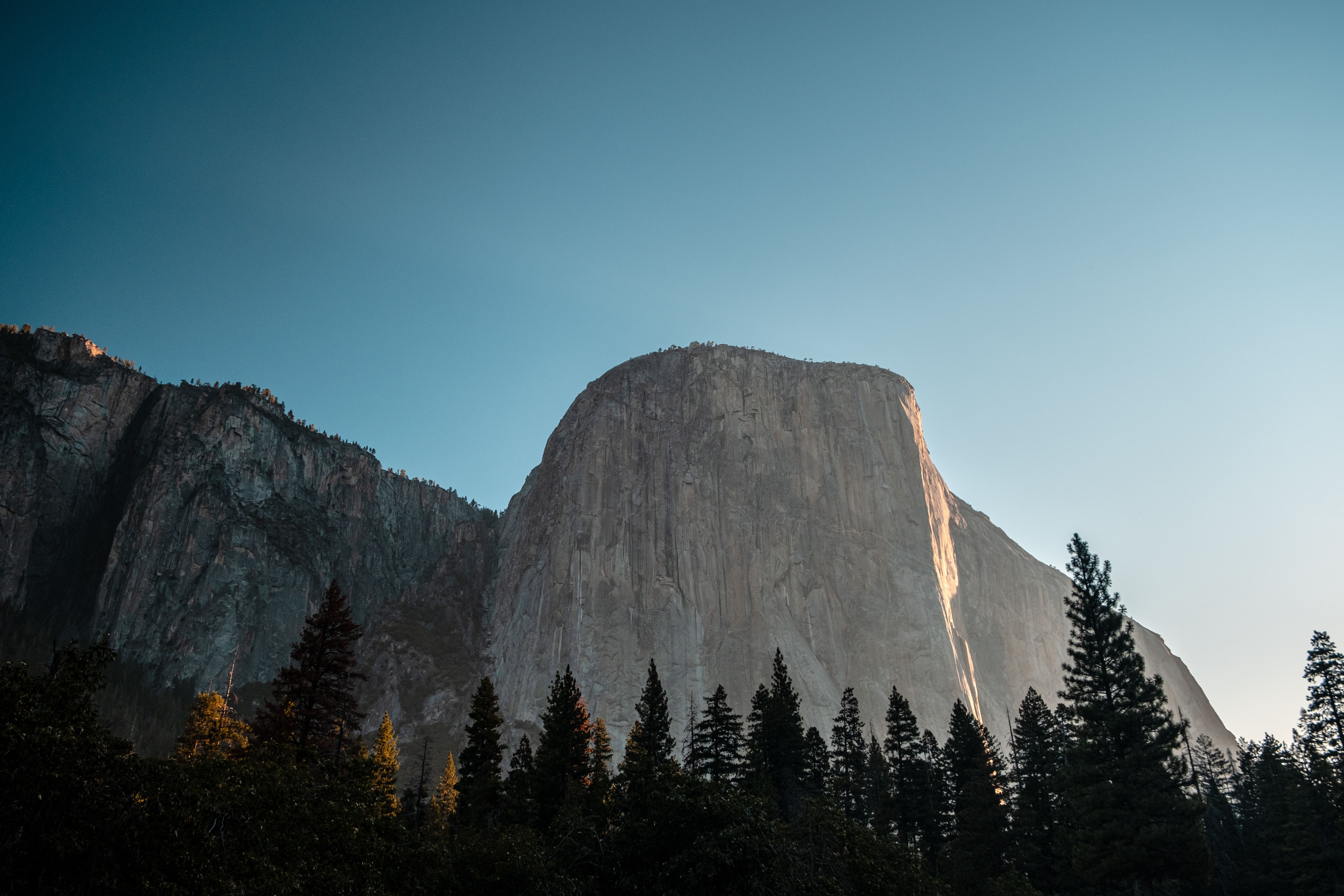 Green Pine Trees Near Rock Mountain Under Blue Sky · Free Stock Photo