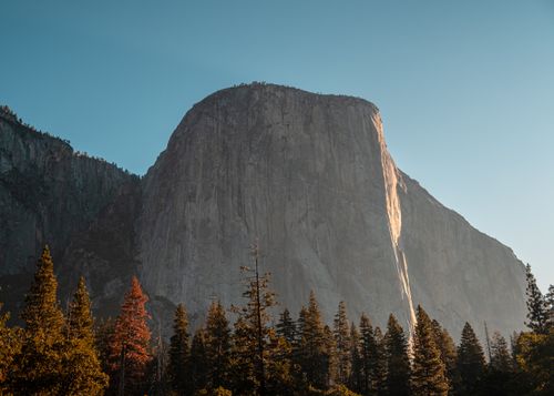Free Scenic view of El Capitan in Yosemite National Park with trees at sunrise lighting up the majestic cliff. Stock Photo