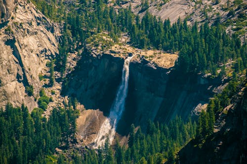 Free Green Trees and Waterfalls on Mountain Stock Photo