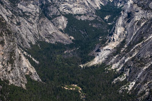 Gratis stockfoto met amerika, berg, bomen