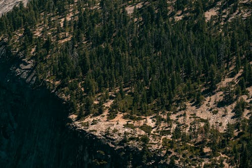 Бесплатное стоковое фото с вечнозеленый, вода, гора