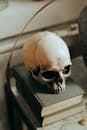 White Skull on White Wooden Table