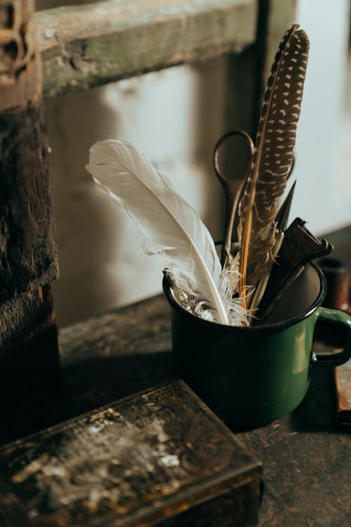 Free White Feather on Green Ceramic Mug Stock Photo