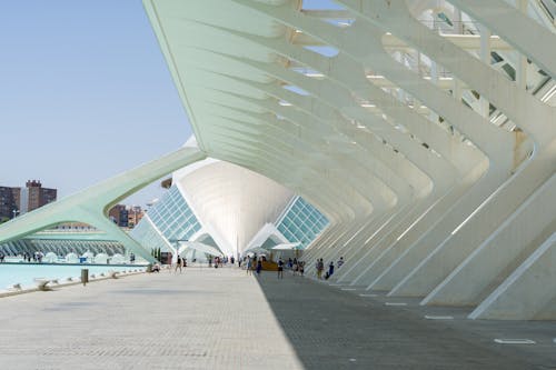 People at the City of Arts and Sciences