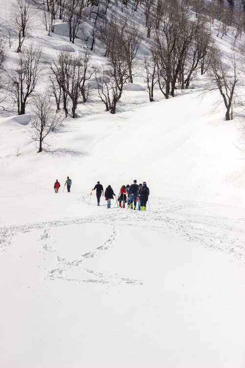 People Trekking on a Snow Covered Land