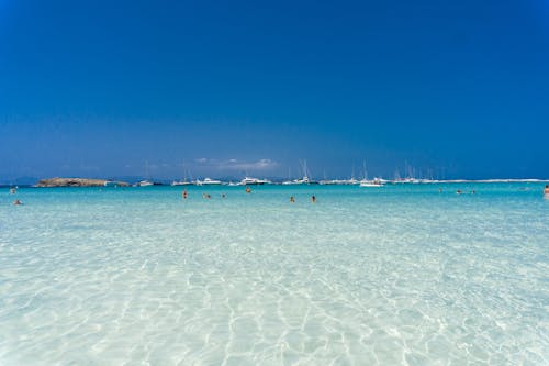 People Swimming in the Beach