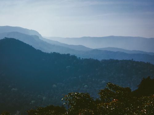 Free Picturesque view of majestic mountains with growing plants under cloudy sky on foggy day Stock Photo