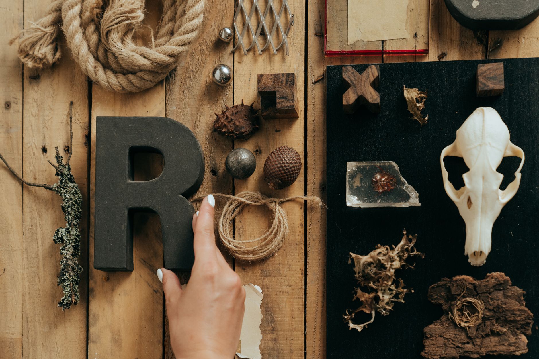 Creative flat lay featuring eclectic natural materials, rope, and a skull on wooden background.
