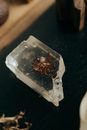 透明水晶中封装的昆虫特写镜头，展现了自然历史与质地