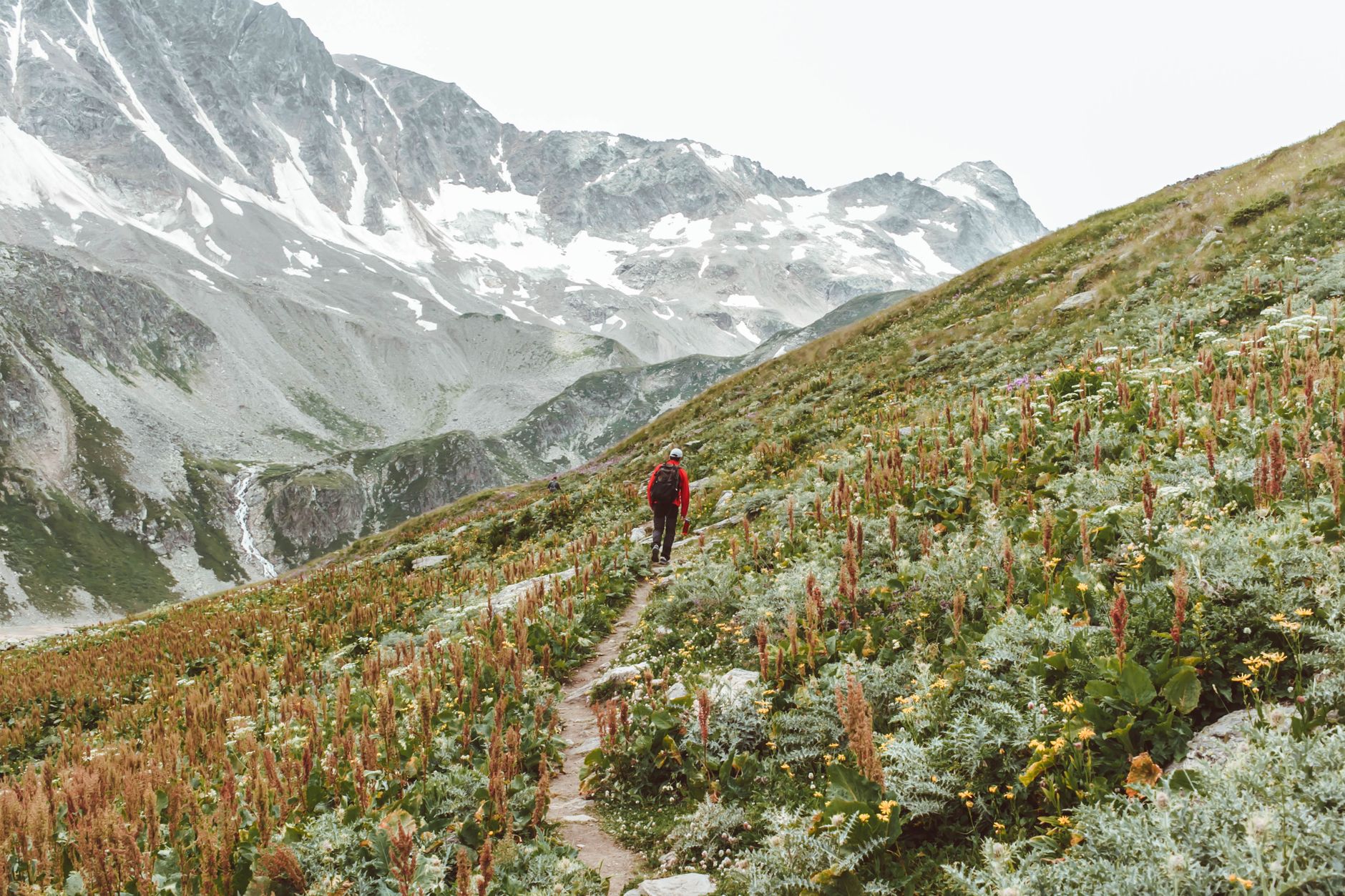 hiker alpine mountain trail