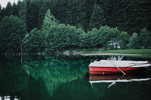 Gratis Foto stok gratis badan air, danau, pohon Foto Stok