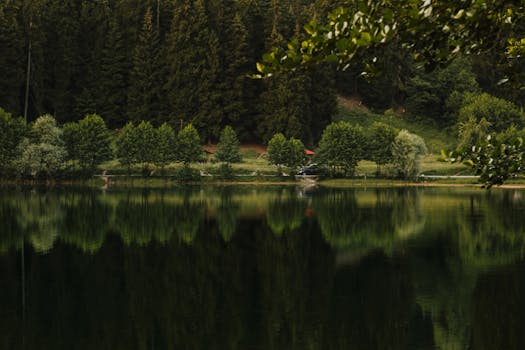 Peaceful forest scene with a calm lake reflecting the lush greenery.
