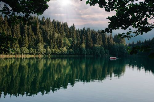 Free A serene lakeside view of a forest with a calm reflection enhanced by sunlight. Stock Photo