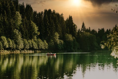 Boat on a River near Coniferous Trees