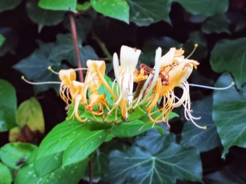 Persona che controlla il saldo sull'app