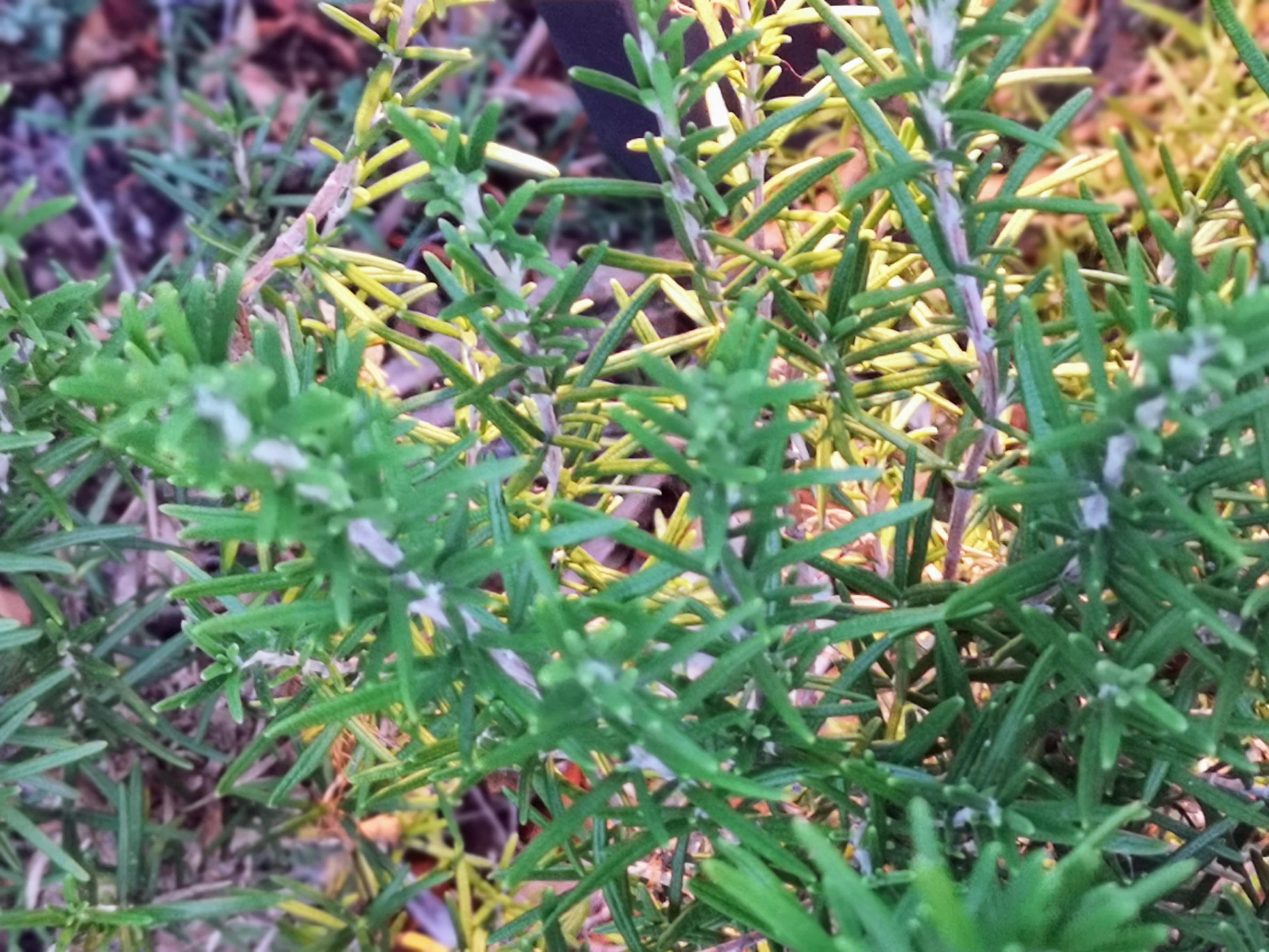 Consultazione del bilancio familiare tramite app