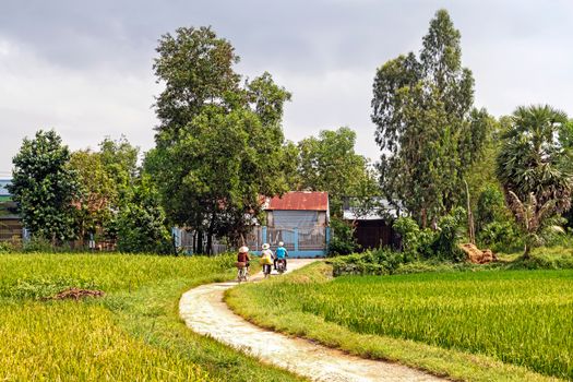 People Riding a Bicycle on a Narrow Pathway Between Grass Field