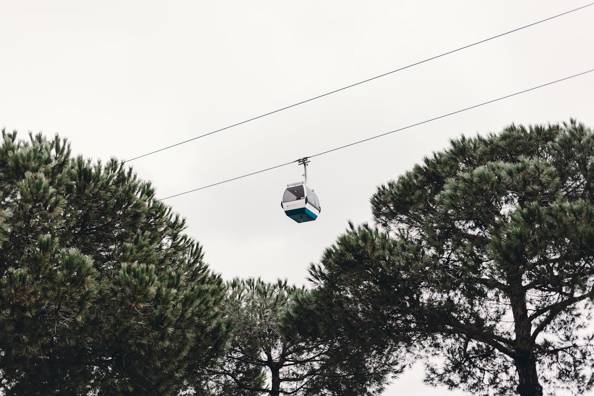 From below of modern cable car over green trees under cloudy sky in daylight