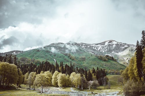 Picturesque view of green valley with coniferous trees and mountains under cloudy sky