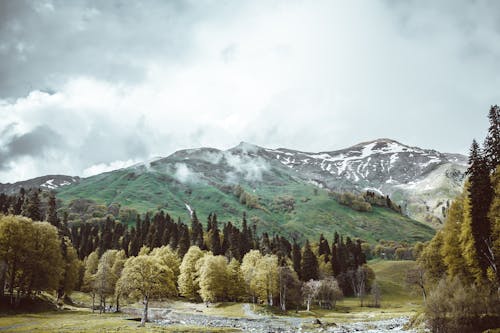 Free Picturesque view of green valley with coniferous trees and mountains under cloudy sky Stock Photo