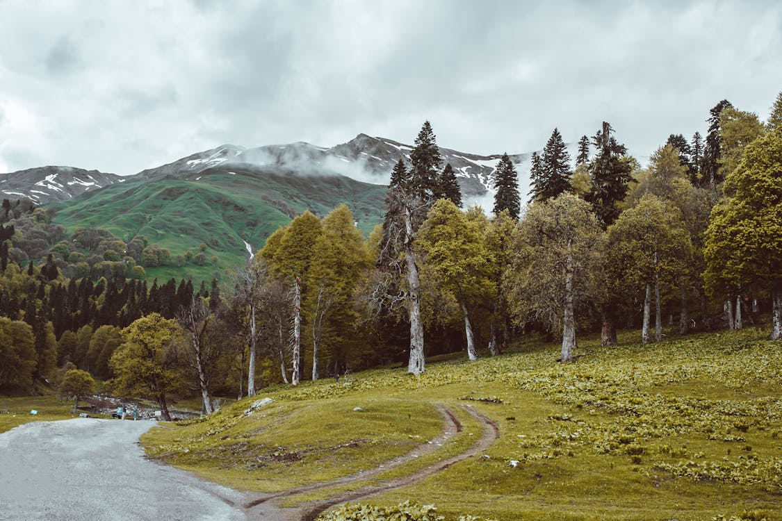 Free Empty road near green field and mountains Stock Photo
