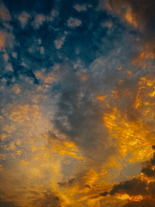 Free From below of vibrant dense multi colored highlighted clouds in blue evening sky Stock Photo