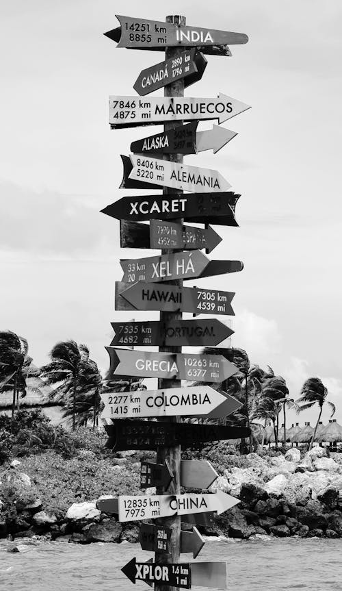 Free Grayscale Photo of Direction Signages Stock Photo