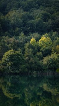Image by Obryan Poyser