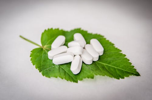 White Oval Medication Pill on Green Leaf