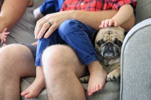 A family Sitting on the Couch with Their Pet Pug