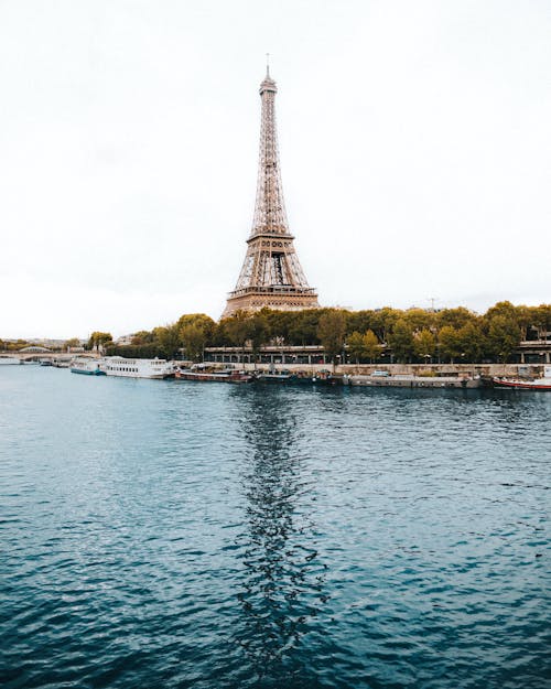 Free Eiffel Tower near River  Stock Photo