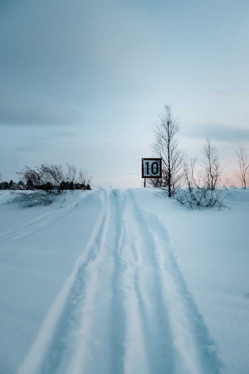 Δωρεάν στοκ φωτογραφιών με cool, αγροτικός, αρκτικός