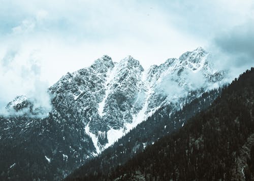 Spectacular view of rough mount with snow against trees under sky with clouds in foggy weather