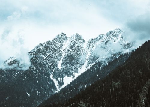 Free Spectacular view of rough mount with snow against trees under sky with clouds in foggy weather Stock Photo