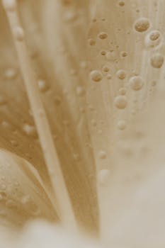 Close-up of water droplets forming a bubble pattern on a beige texture, perfect for backgrounds.