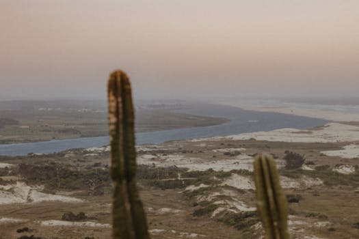 A tranquil desert scene featuring a river winding through sandy terrain with cacti in the foreground.