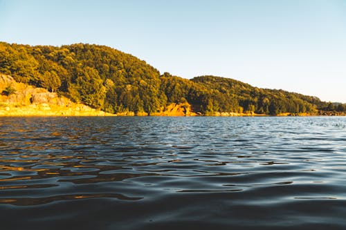 Бесплатное стоковое фото с вид на озеро, вода, дерево