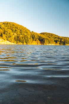 Tranquil landscape of a serene lake surrounded by lush forests under a clear sky in İzmit, Turkey.