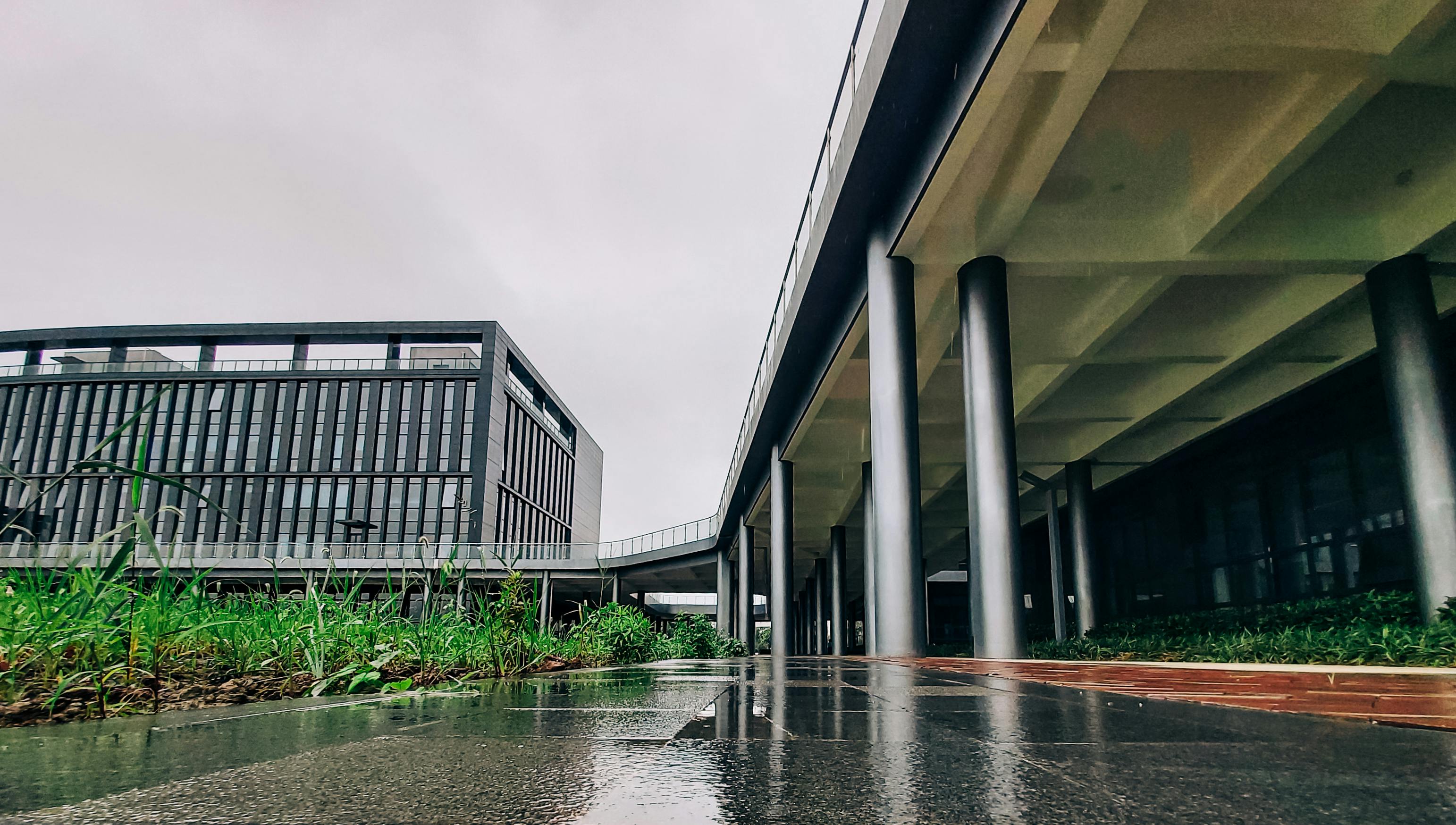 Platform Engineering: Building Internal Developer Platforms to Improve Developer Productivity — Photo by winrood lee on Pexel